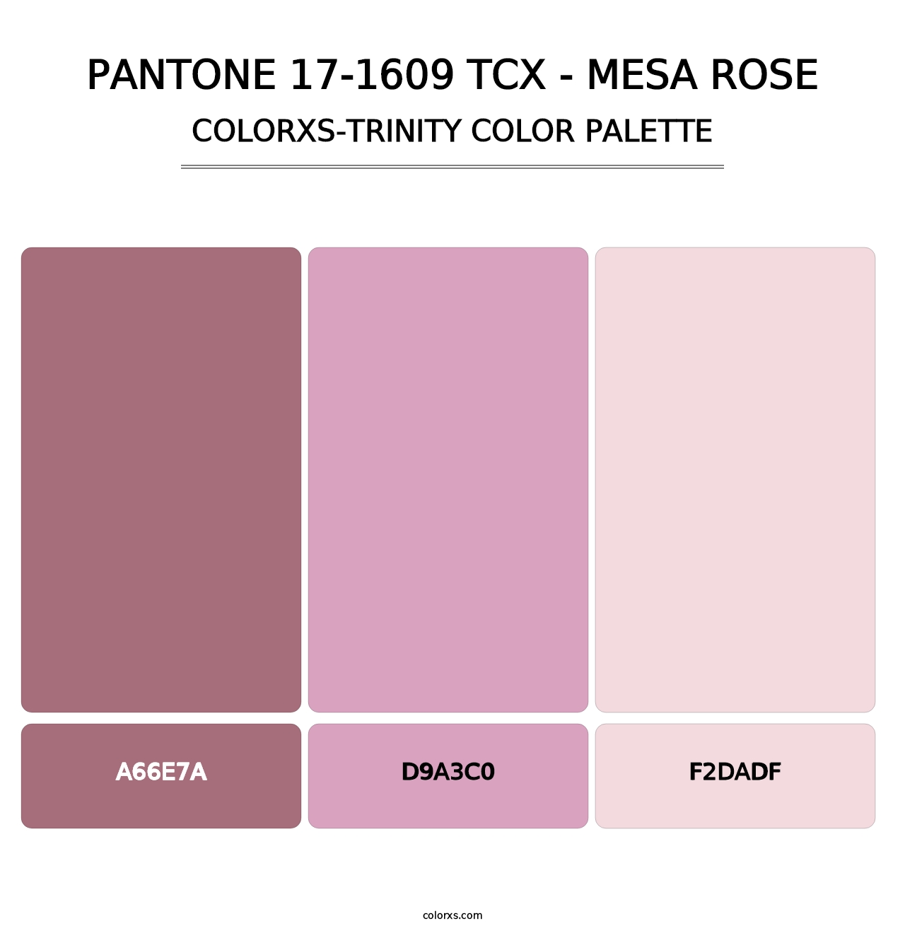 PANTONE 17-1609 TCX - Mesa Rose - Colorxs Trinity Palette