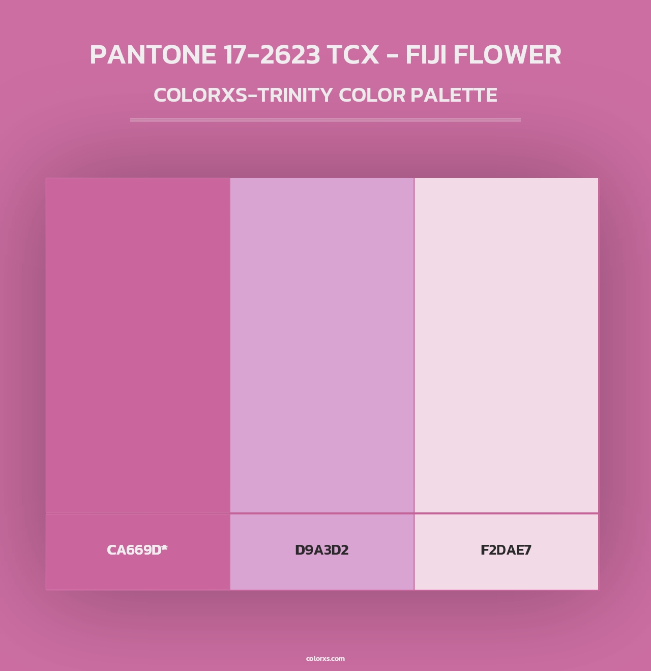 PANTONE 17-2623 TCX - Fiji Flower - Colorxs Trinity Palette