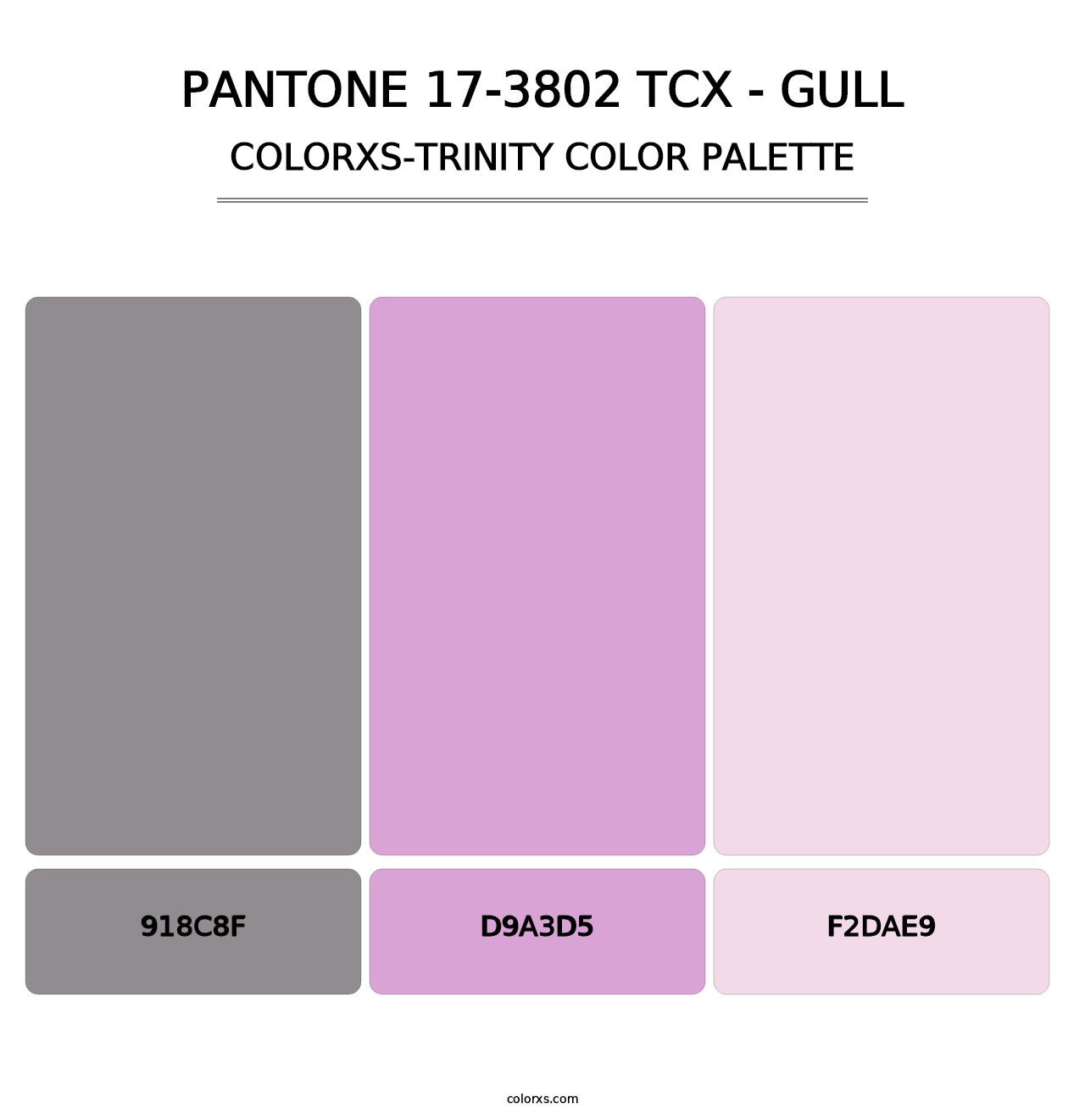 PANTONE 17-3802 TCX - Gull - Colorxs Trinity Palette
