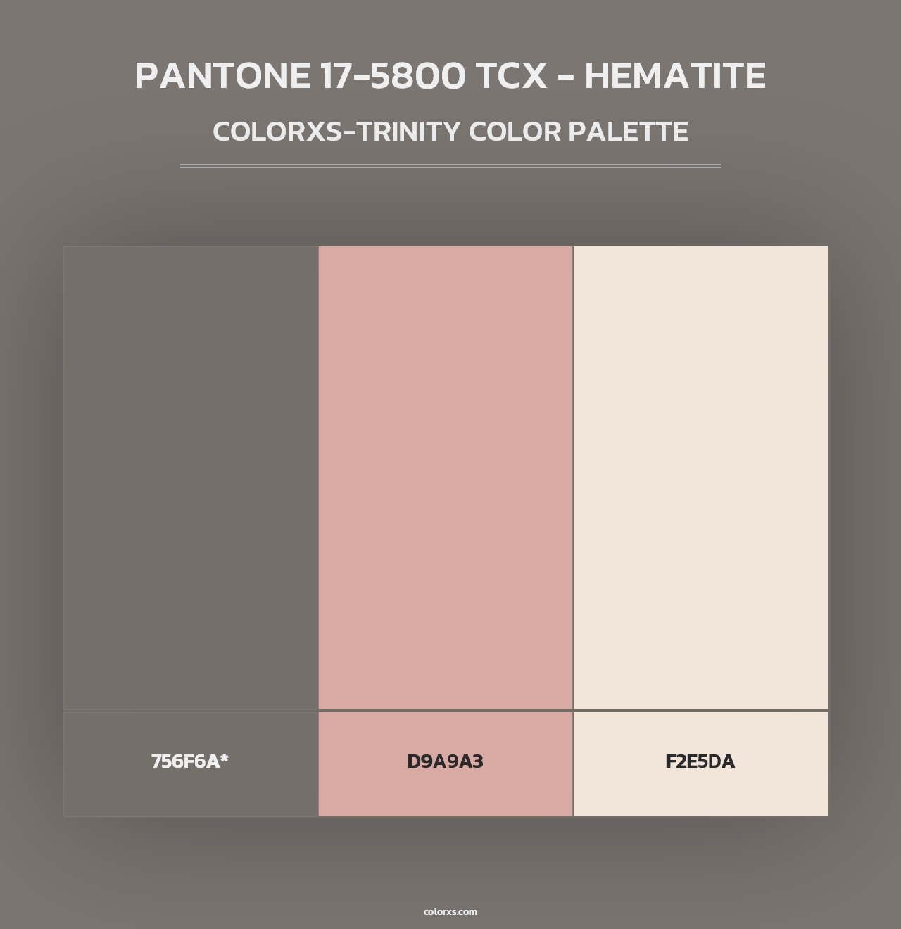 PANTONE 17-5800 TCX - Hematite - Colorxs Trinity Palette