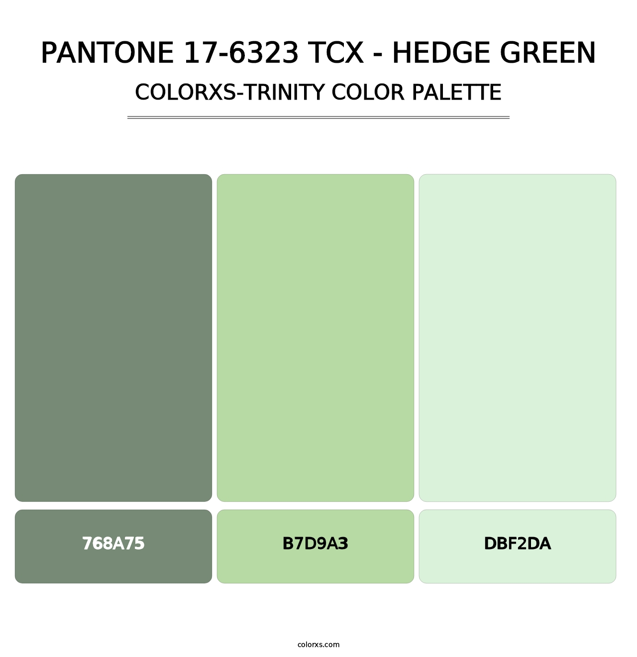 PANTONE 17-6323 TCX - Hedge Green - Colorxs Trinity Palette