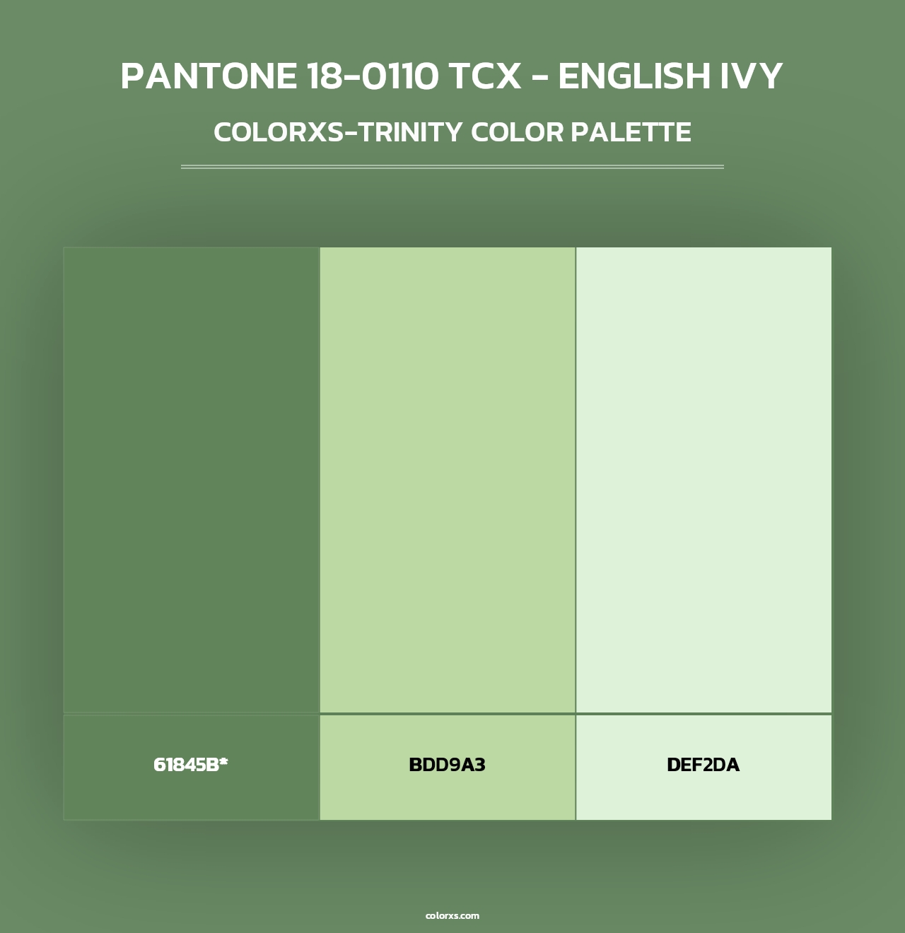 PANTONE 18-0110 TCX - English Ivy - Colorxs Trinity Palette