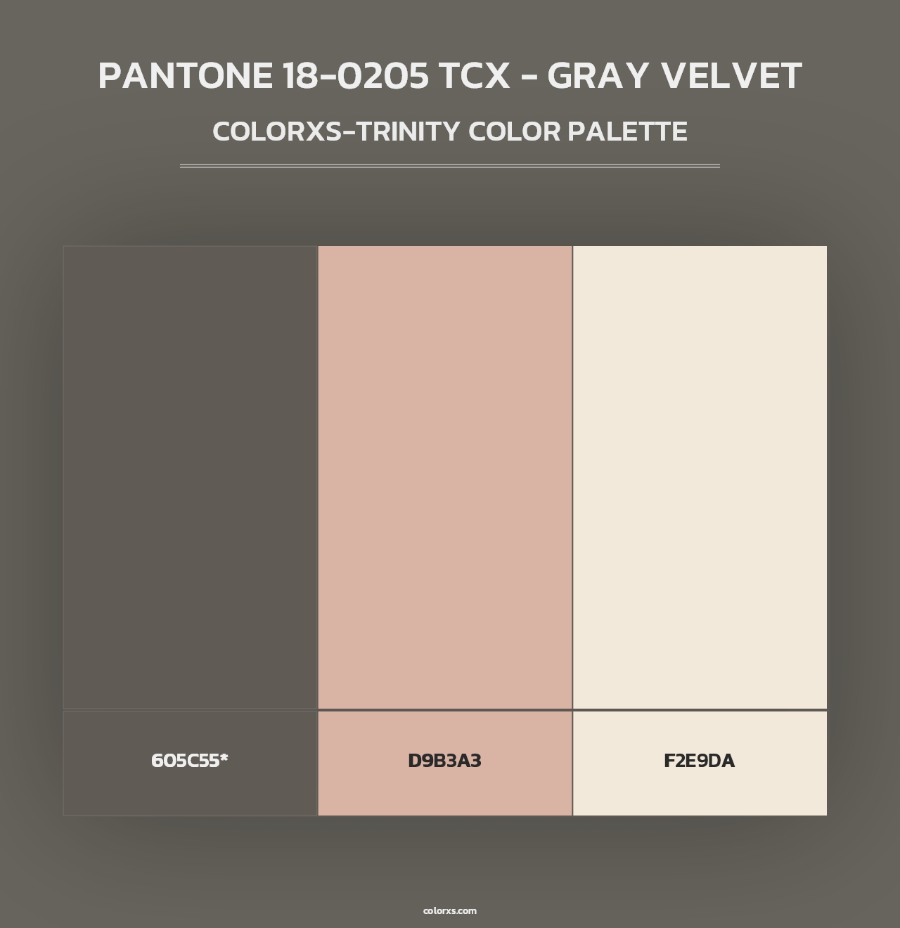 PANTONE 18-0205 TCX - Gray Velvet - Colorxs Trinity Palette