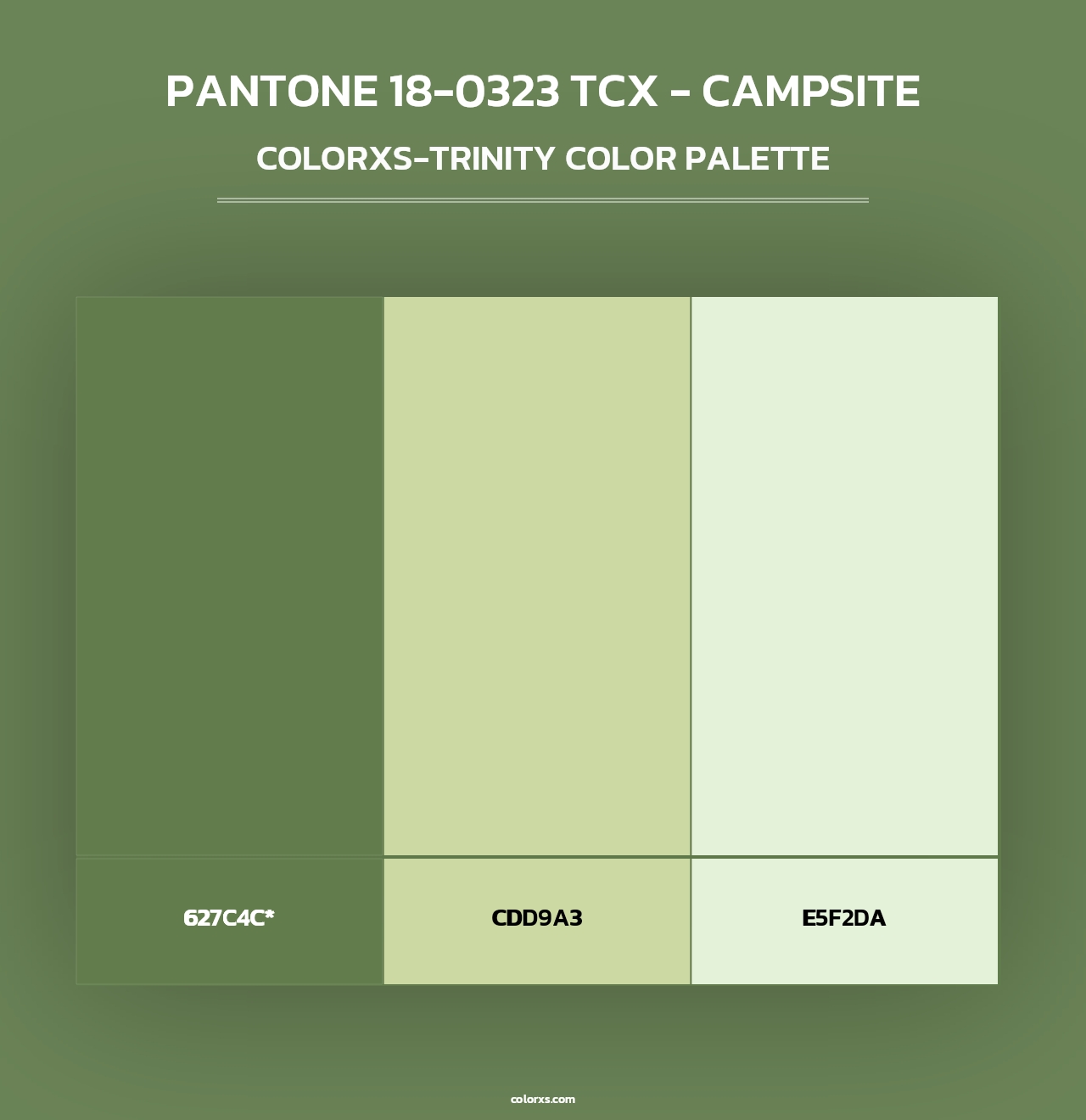 PANTONE 18-0323 TCX - Campsite - Colorxs Trinity Palette