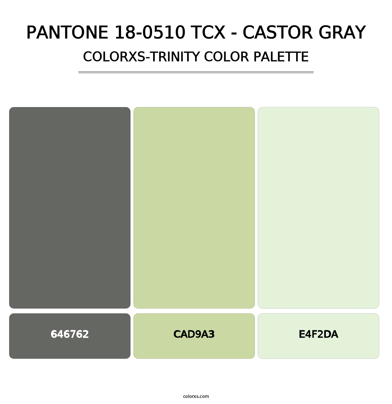 PANTONE 18-0510 TCX - Castor Gray - Colorxs Trinity Palette