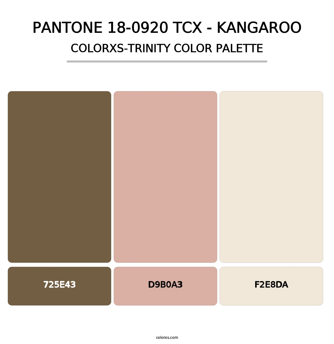 PANTONE 18-0920 TCX - Kangaroo - Colorxs Trinity Palette