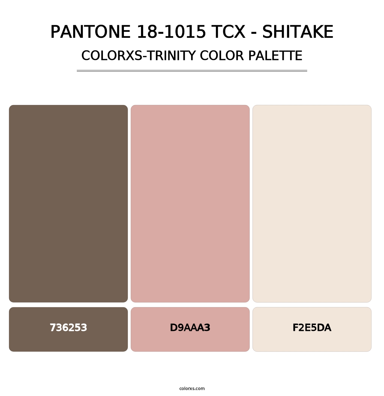 PANTONE 18-1015 TCX - Shitake - Colorxs Trinity Palette