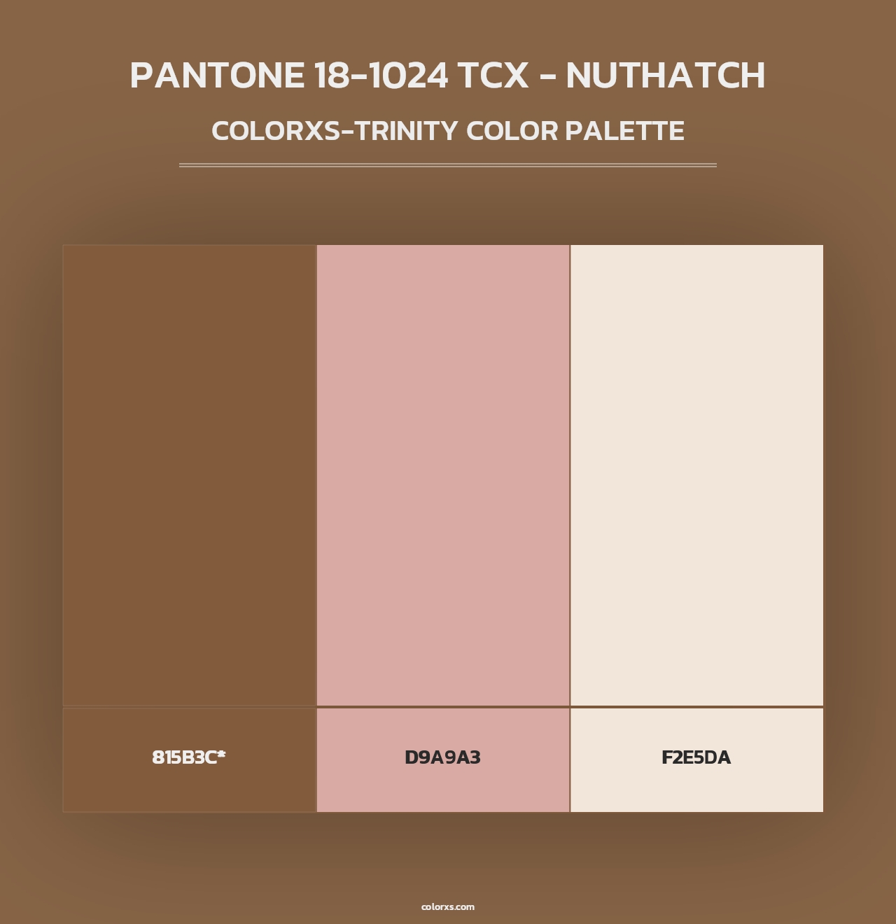 PANTONE 18-1024 TCX - Nuthatch - Colorxs Trinity Palette