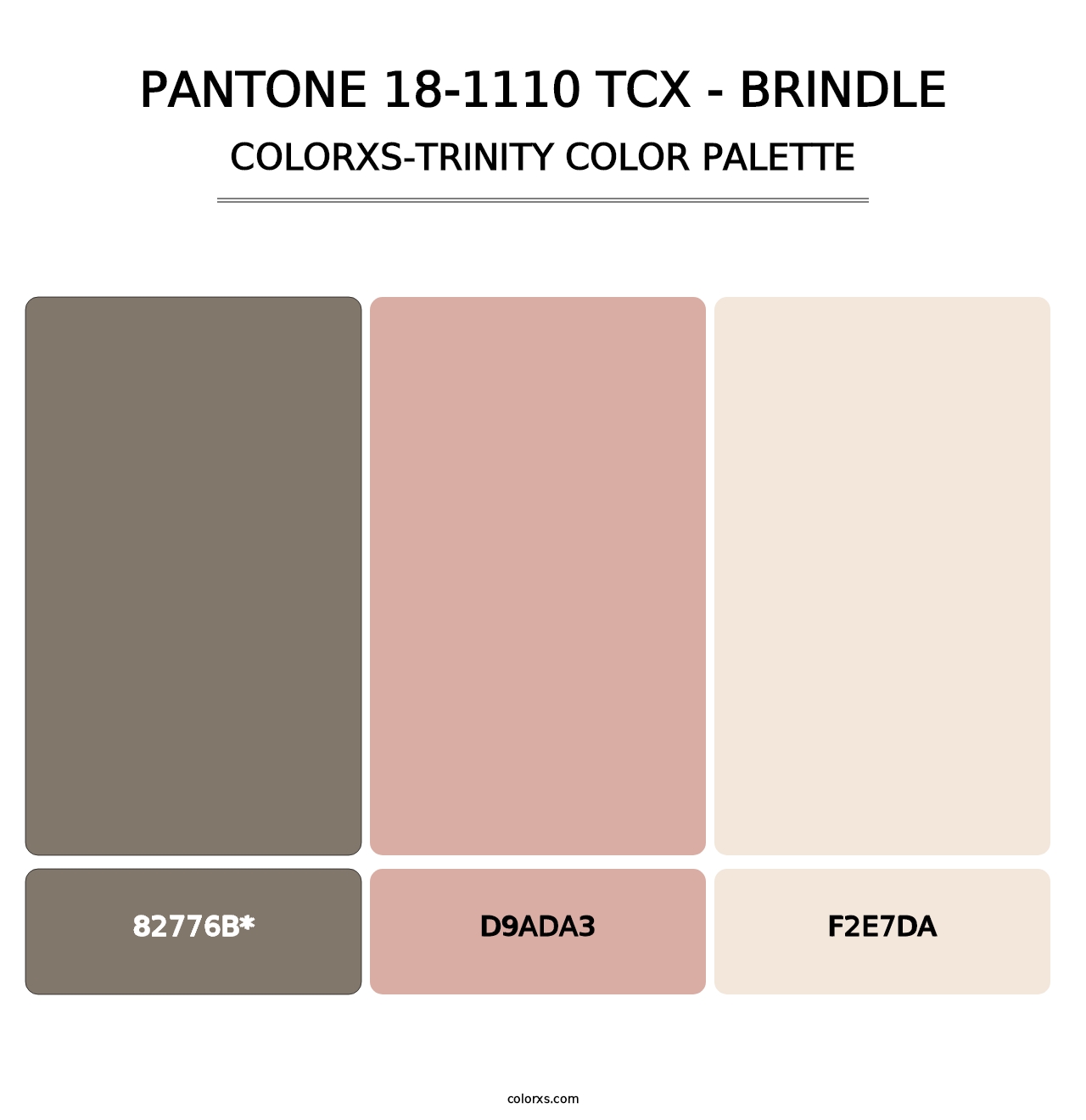 PANTONE 18-1110 TCX - Brindle - Colorxs Trinity Palette