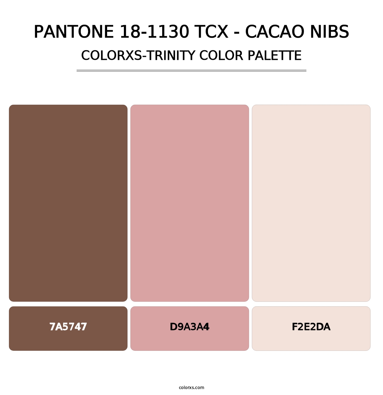 PANTONE 18-1130 TCX - Cacao Nibs - Colorxs Trinity Palette