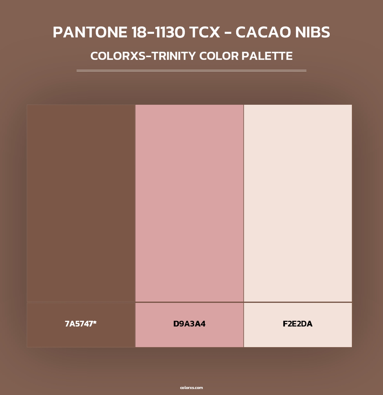 PANTONE 18-1130 TCX - Cacao Nibs - Colorxs Trinity Palette