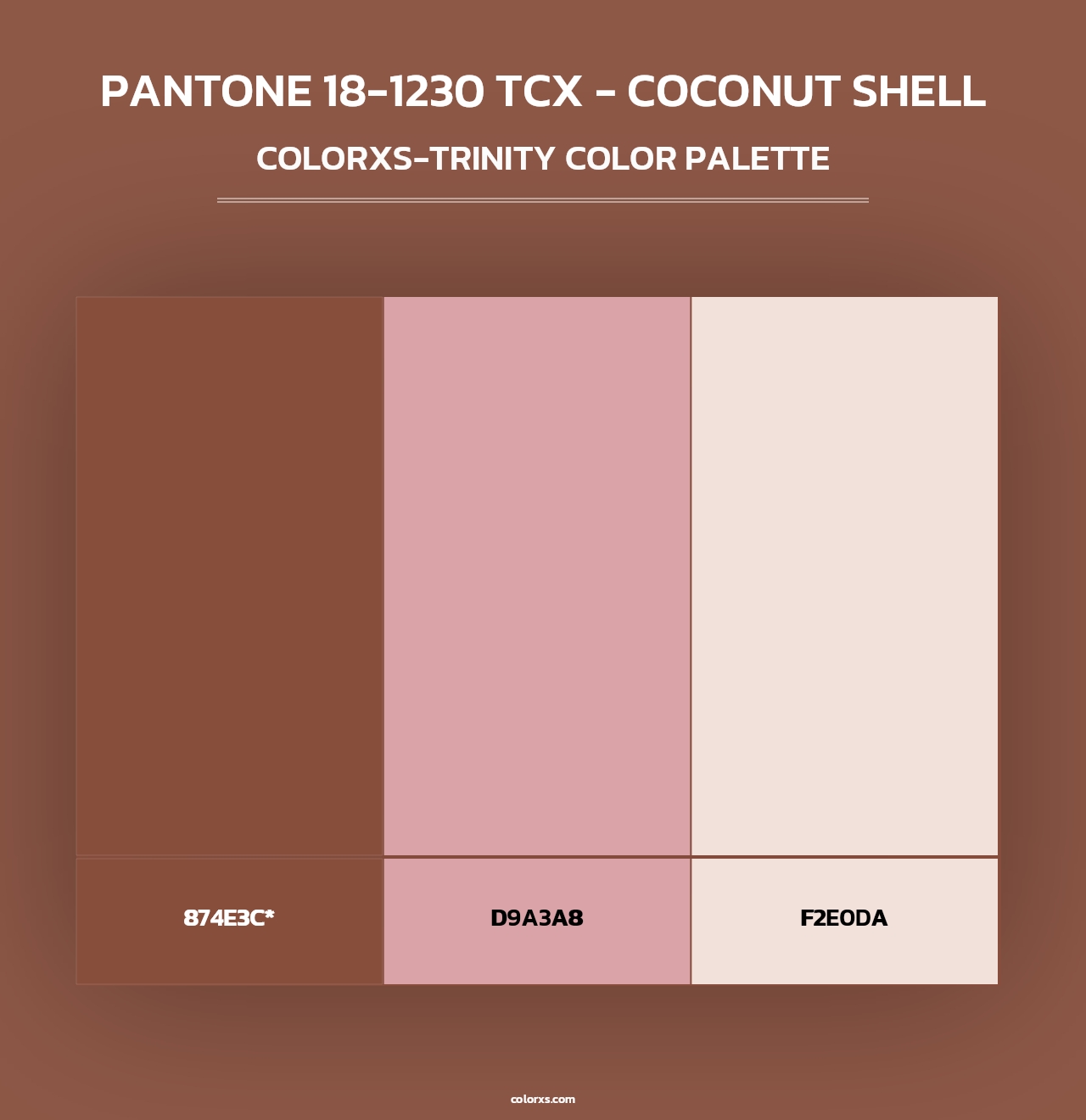 PANTONE 18-1230 TCX - Coconut Shell - Colorxs Trinity Palette