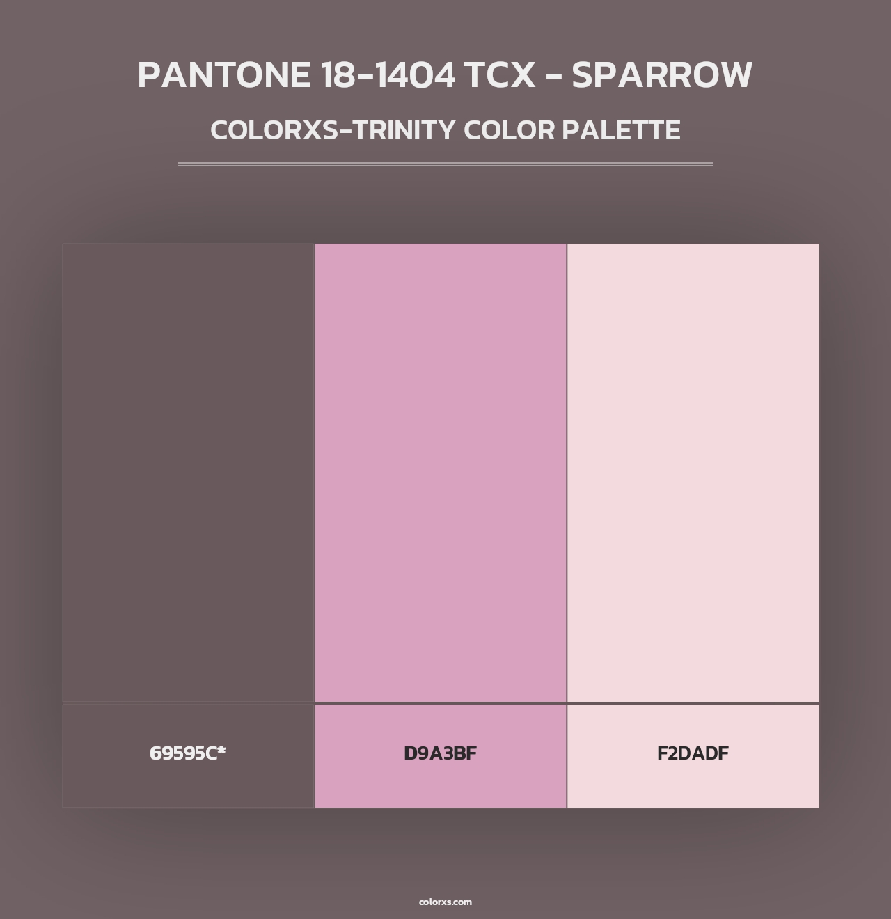 PANTONE 18-1404 TCX - Sparrow - Colorxs Trinity Palette