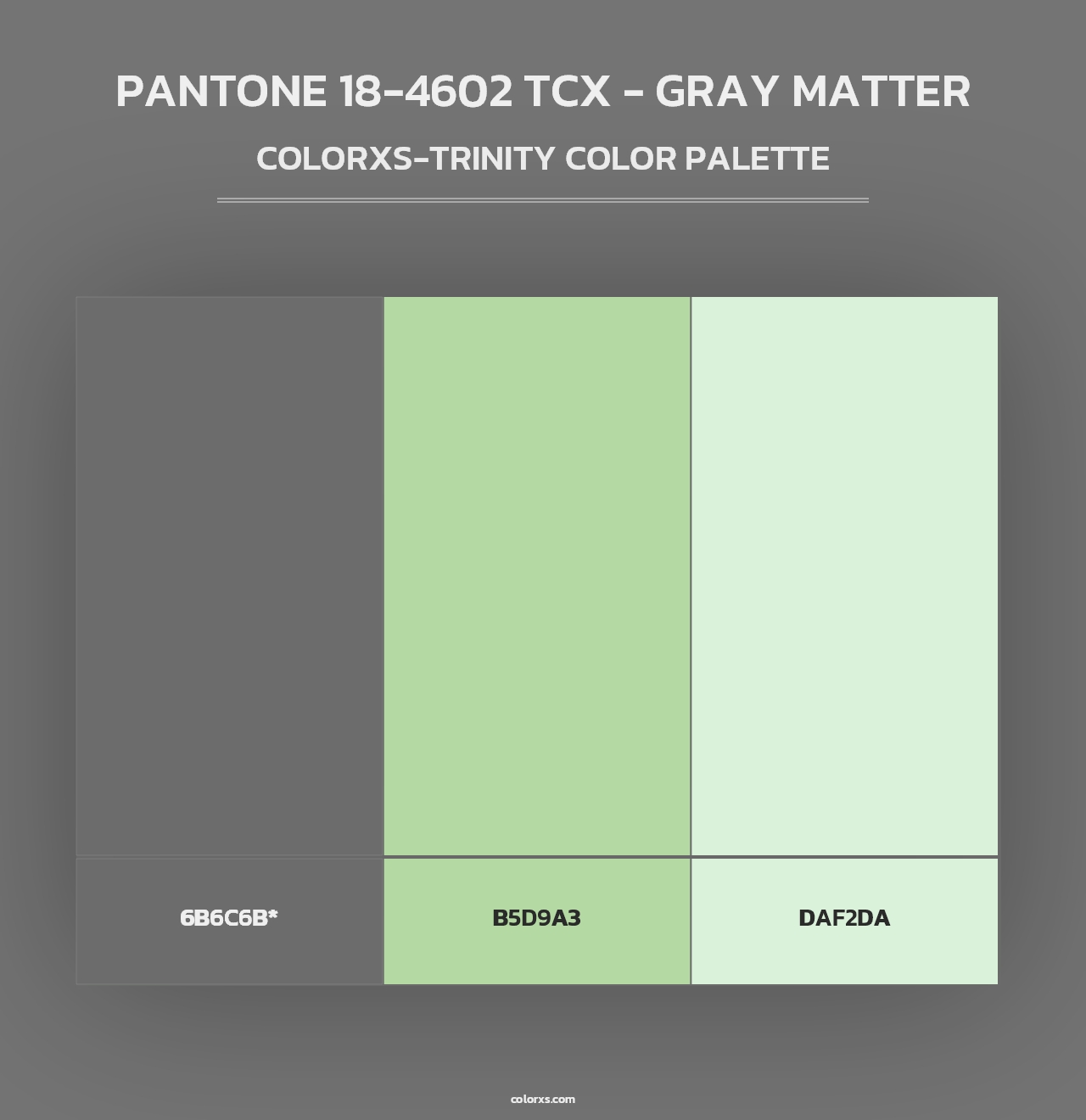 PANTONE 18-4602 TCX - Gray Matter - Colorxs Trinity Palette
