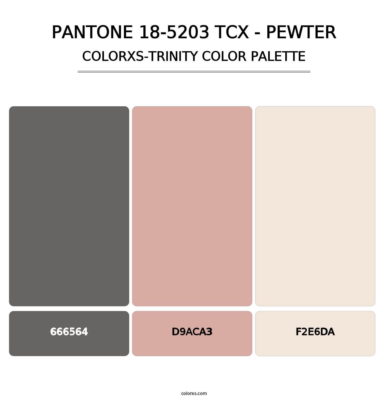 PANTONE 18-5203 TCX - Pewter - Colorxs Trinity Palette