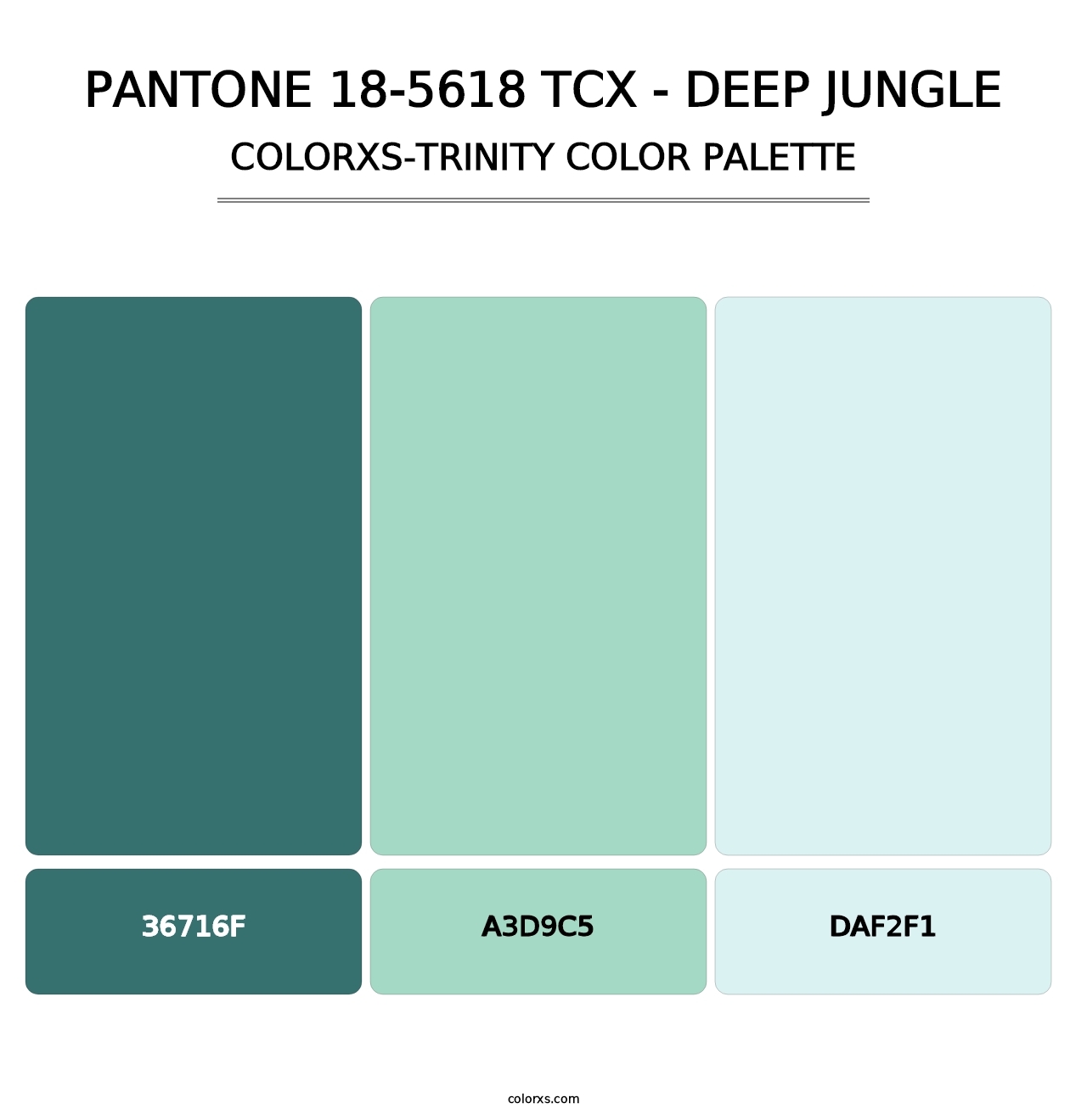 PANTONE 18-5618 TCX - Deep Jungle - Colorxs Trinity Palette