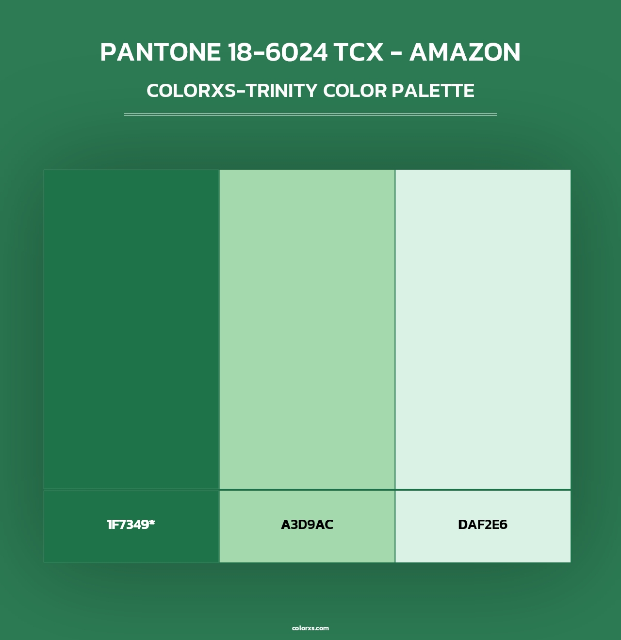 PANTONE 18-6024 TCX - Amazon - Colorxs Trinity Palette