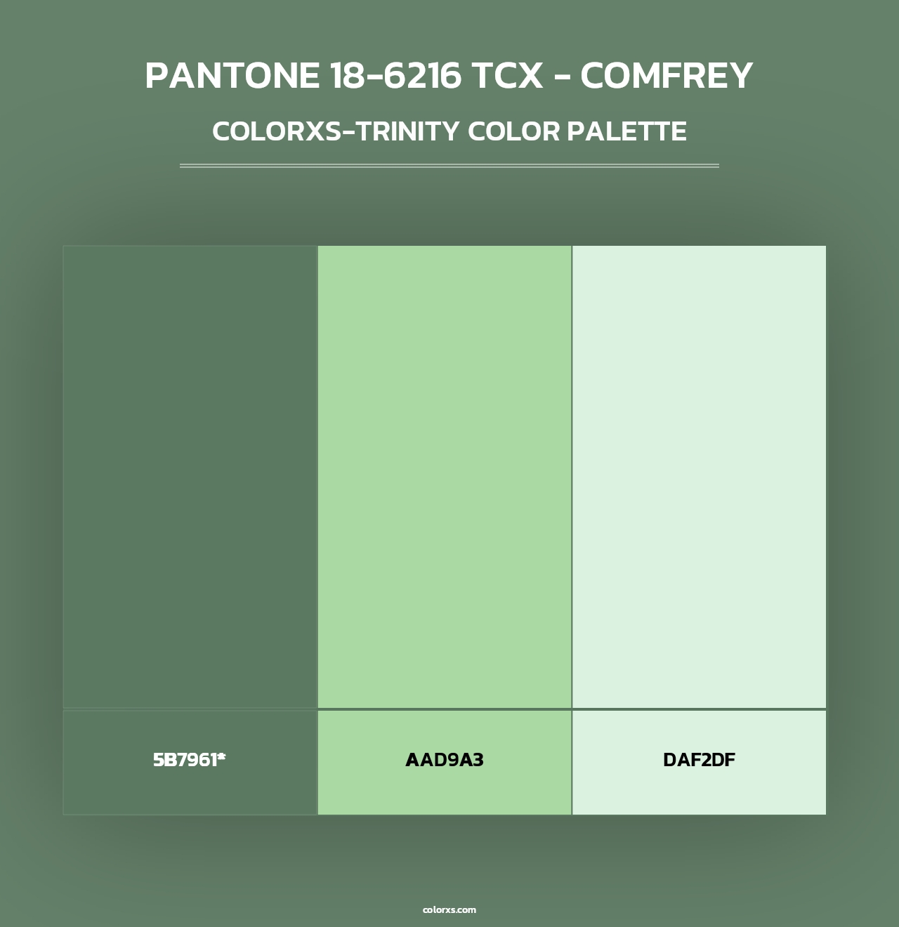 PANTONE 18-6216 TCX - Comfrey - Colorxs Trinity Palette