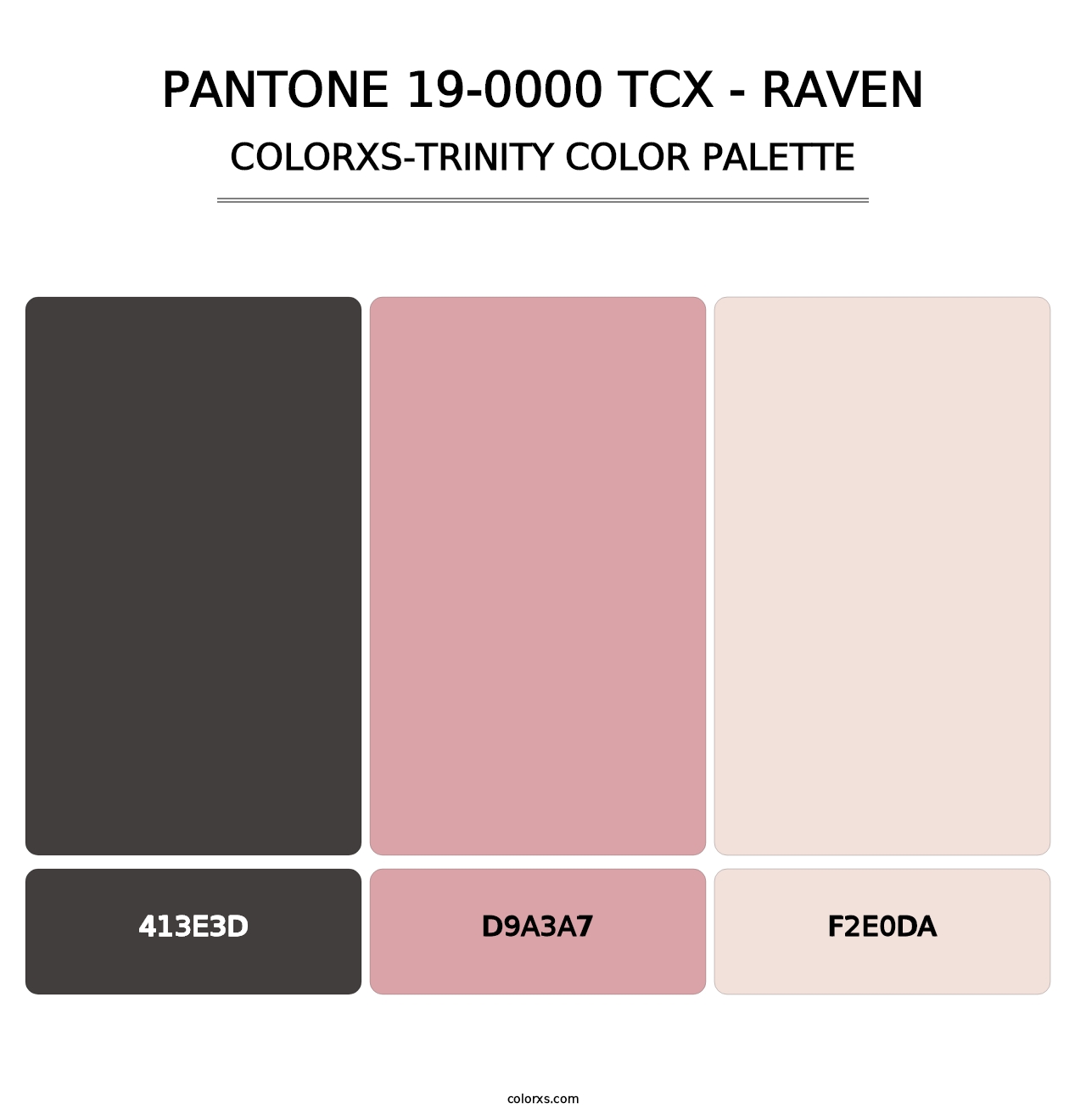 PANTONE 19-0000 TCX - Raven - Colorxs Trinity Palette