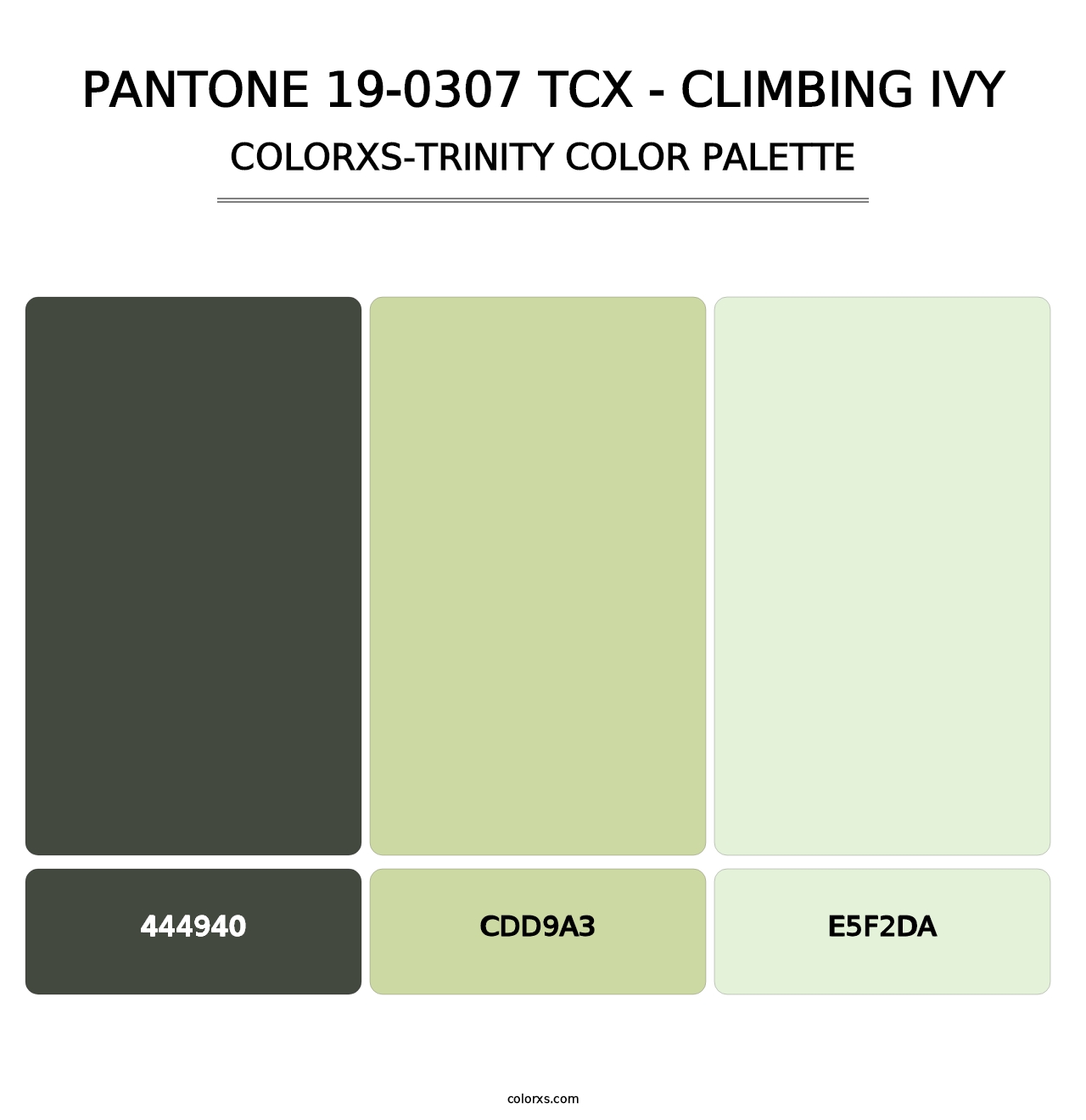 PANTONE 19-0307 TCX - Climbing Ivy - Colorxs Trinity Palette