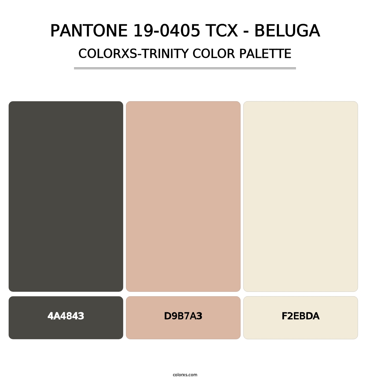 PANTONE 19-0405 TCX - Beluga - Colorxs Trinity Palette