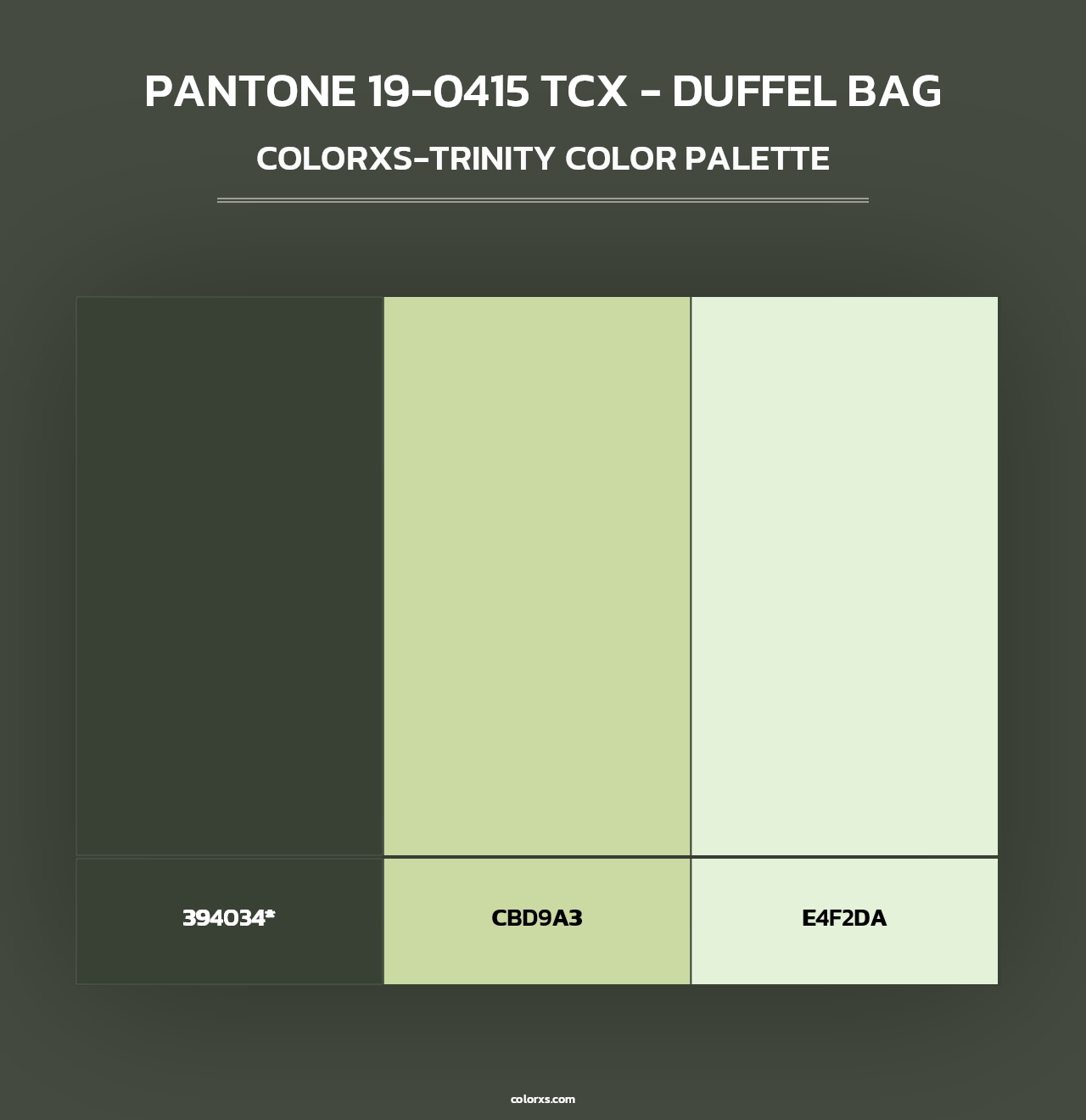 PANTONE 19-0415 TCX - Duffel Bag - Colorxs Trinity Palette