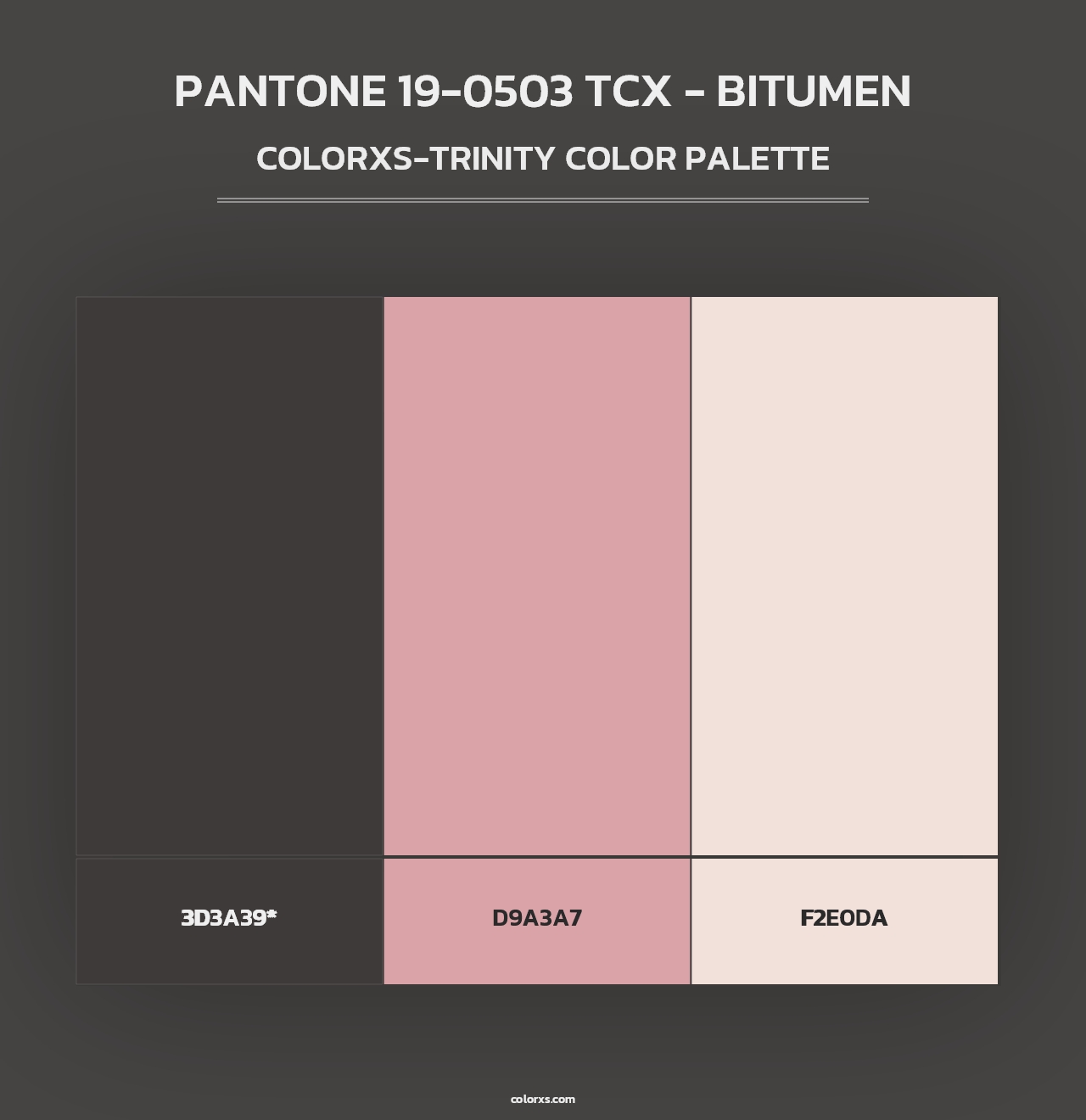 PANTONE 19-0503 TCX - Bitumen - Colorxs Trinity Palette