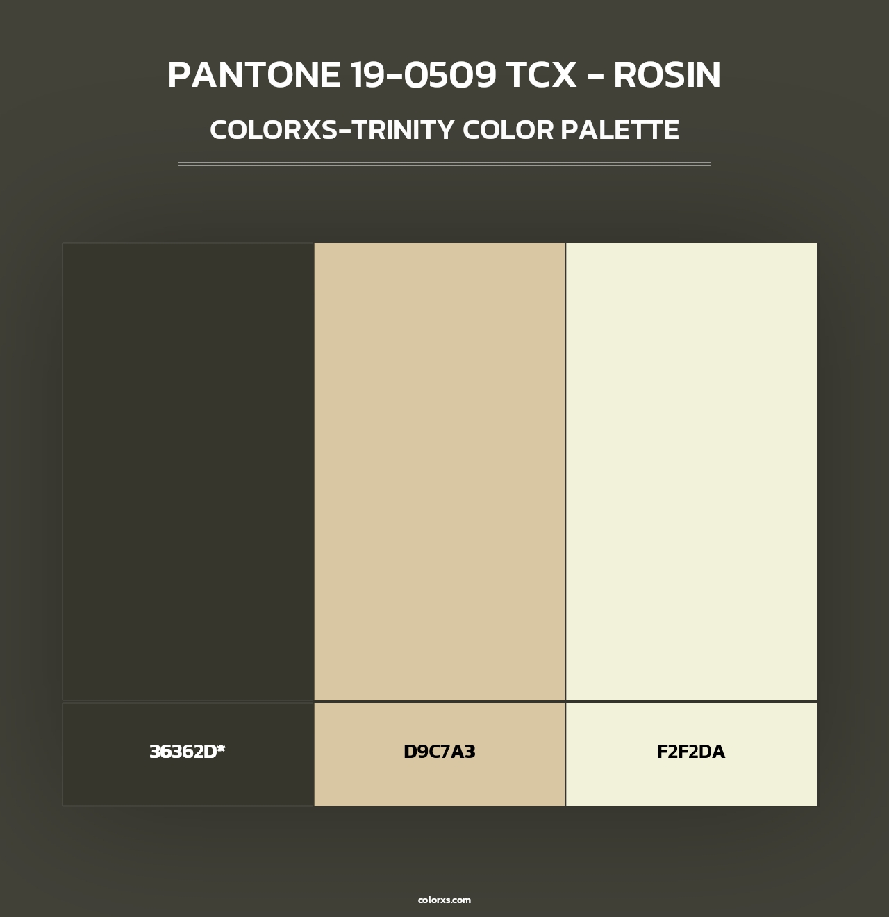 PANTONE 19-0509 TCX - Rosin - Colorxs Trinity Palette