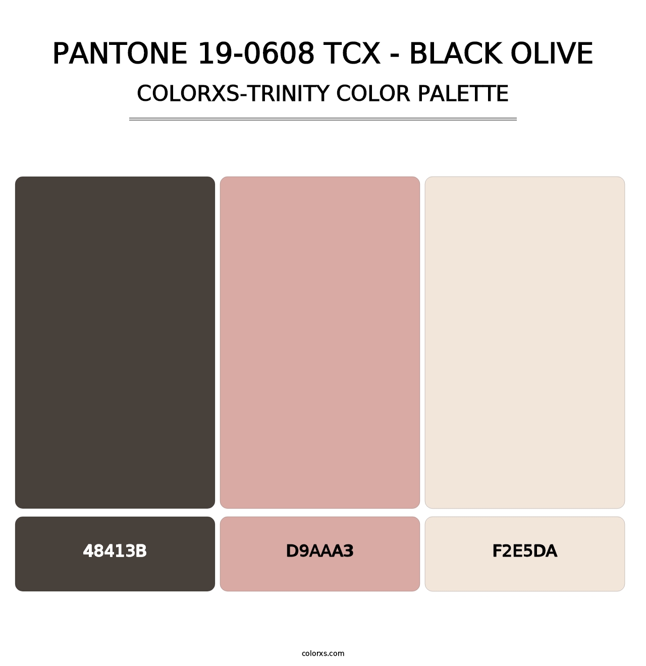 PANTONE 19-0608 TCX - Black Olive - Colorxs Trinity Palette