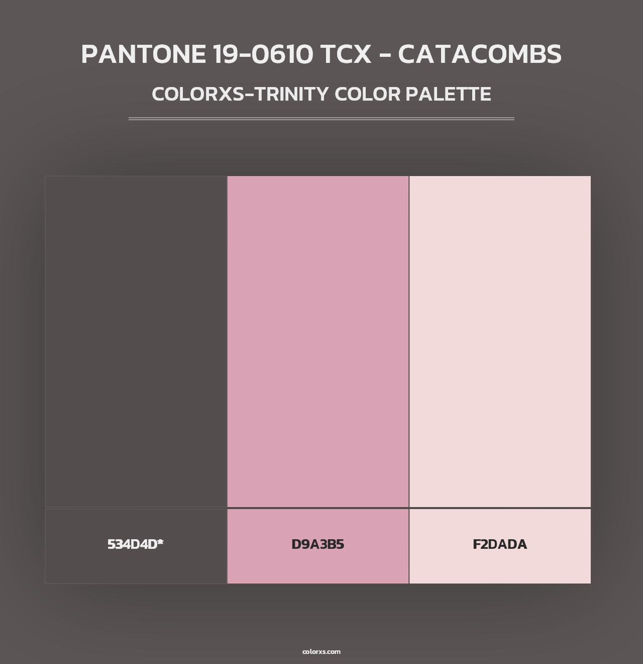 PANTONE 19-0610 TCX - Catacombs - Colorxs Trinity Palette