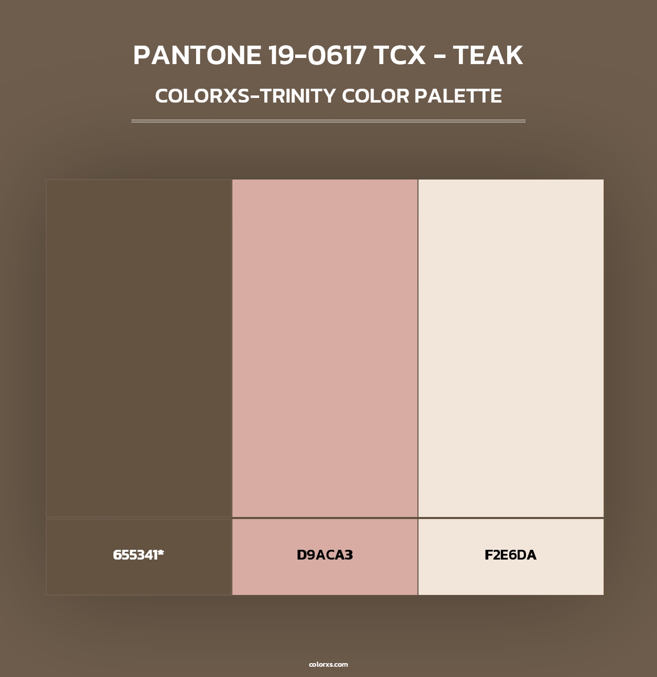 PANTONE 19-0617 TCX - Teak - Colorxs Trinity Palette