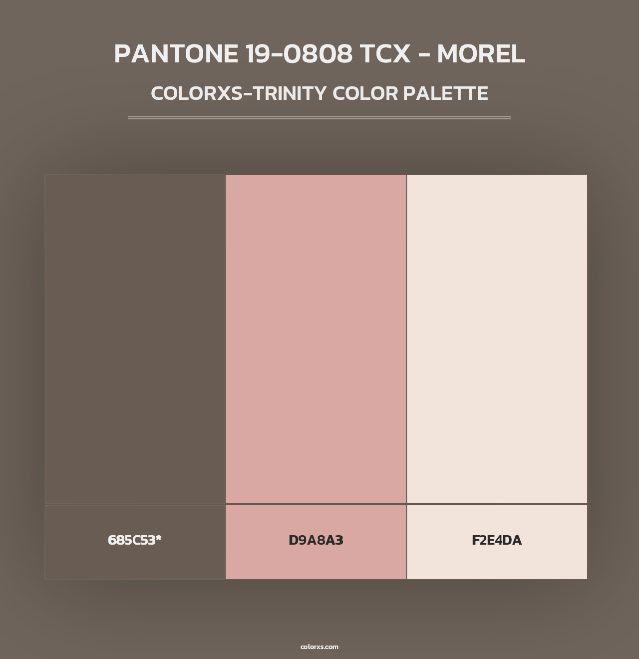 PANTONE 19-0808 TCX - Morel - Colorxs Trinity Palette