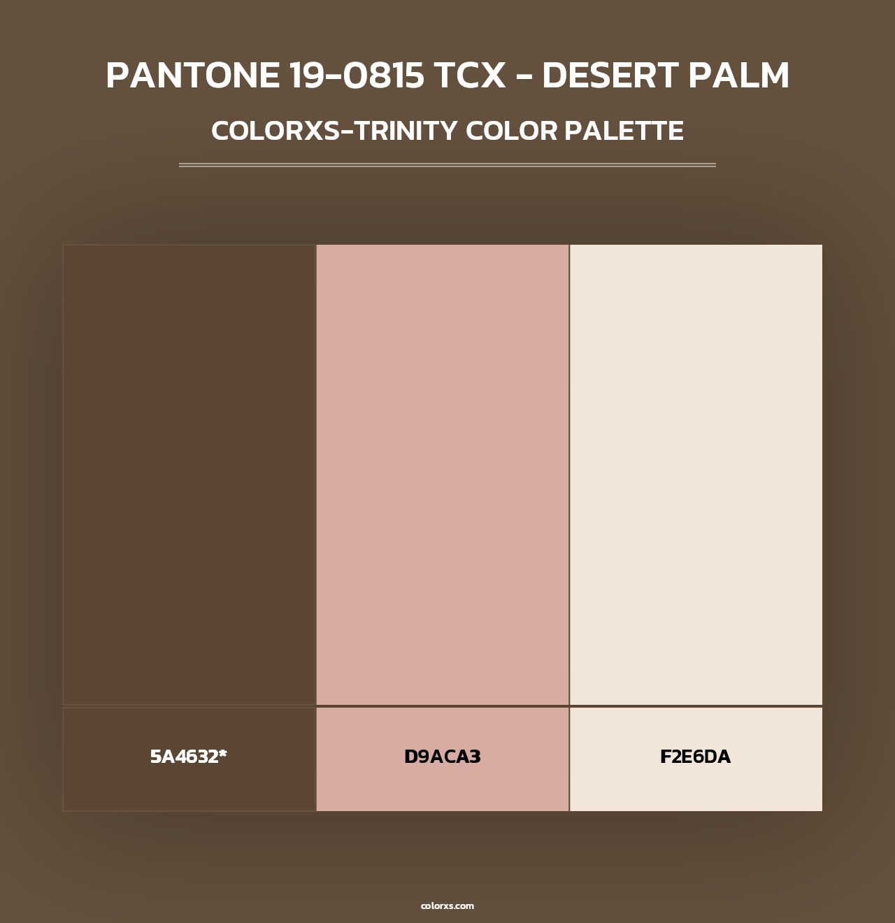 PANTONE 19-0815 TCX - Desert Palm - Colorxs Trinity Palette