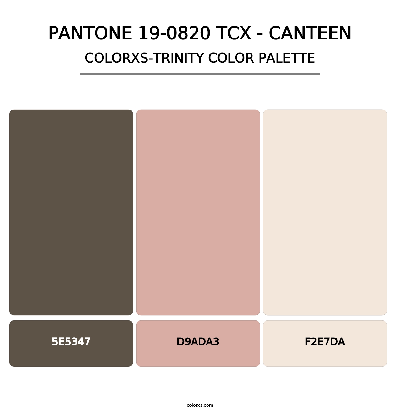 PANTONE 19-0820 TCX - Canteen - Colorxs Trinity Palette