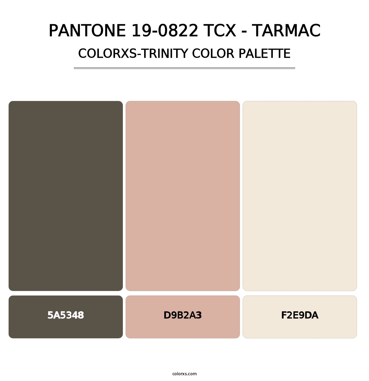PANTONE 19-0822 TCX - Tarmac - Colorxs Trinity Palette