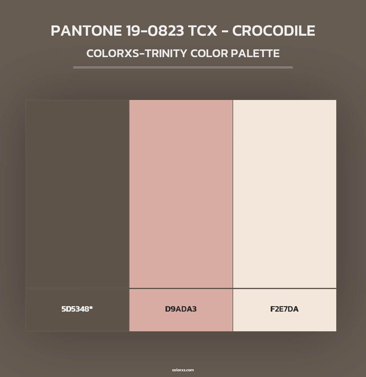 PANTONE 19-0823 TCX - Crocodile - Colorxs Trinity Palette