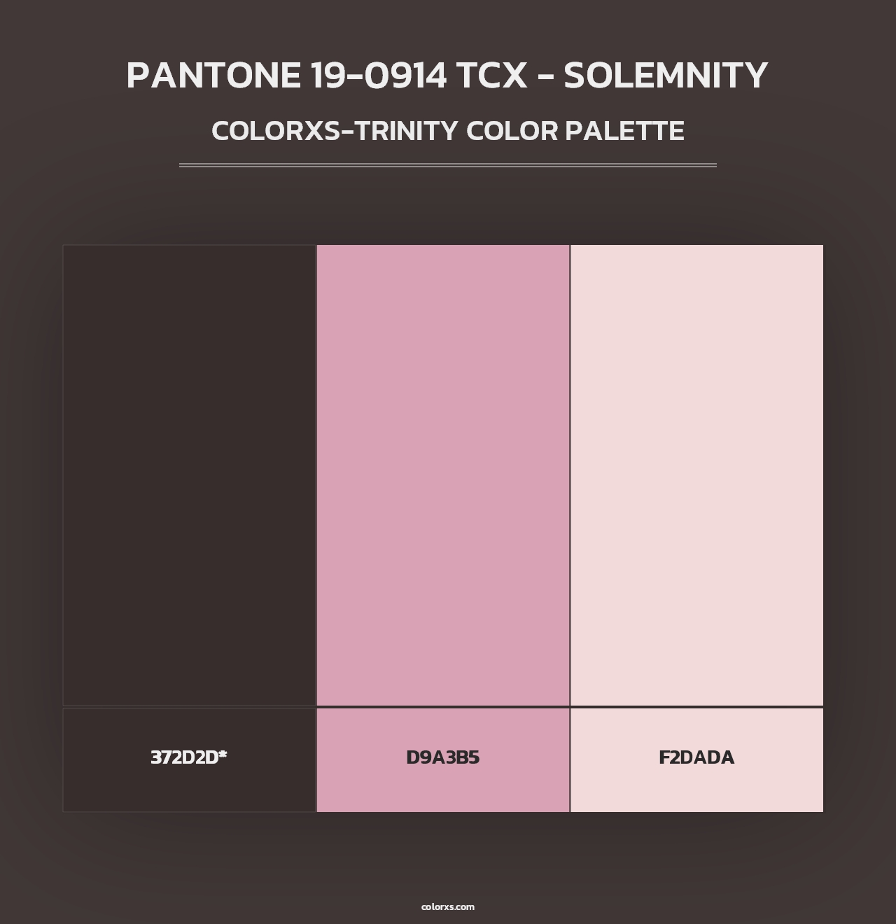 PANTONE 19-0914 TCX - Solemnity - Colorxs Trinity Palette