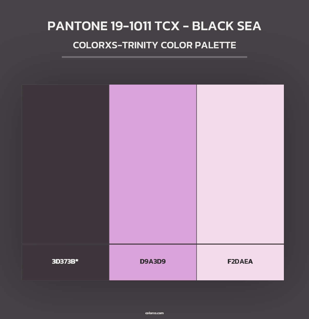 PANTONE 19-1011 TCX - Black Sea - Colorxs Trinity Palette