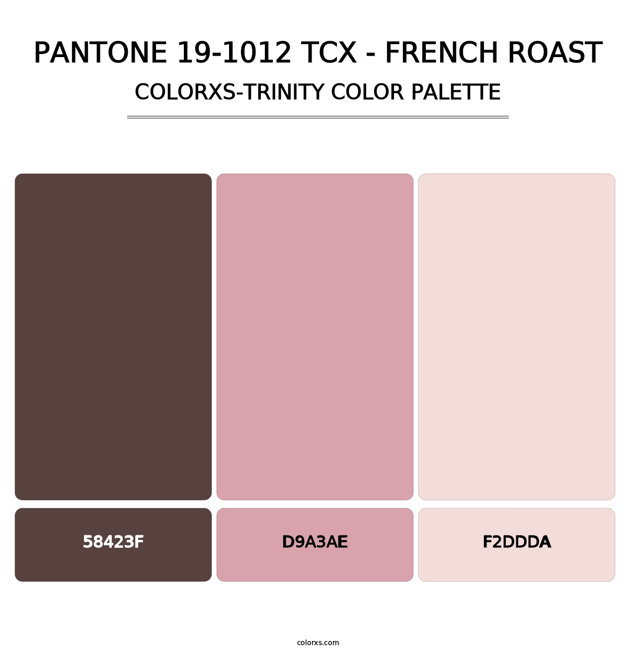 PANTONE 19-1012 TCX - French Roast - Colorxs Trinity Palette