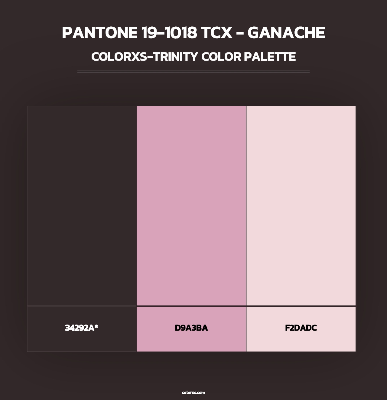 PANTONE 19-1018 TCX - Ganache - Colorxs Trinity Palette