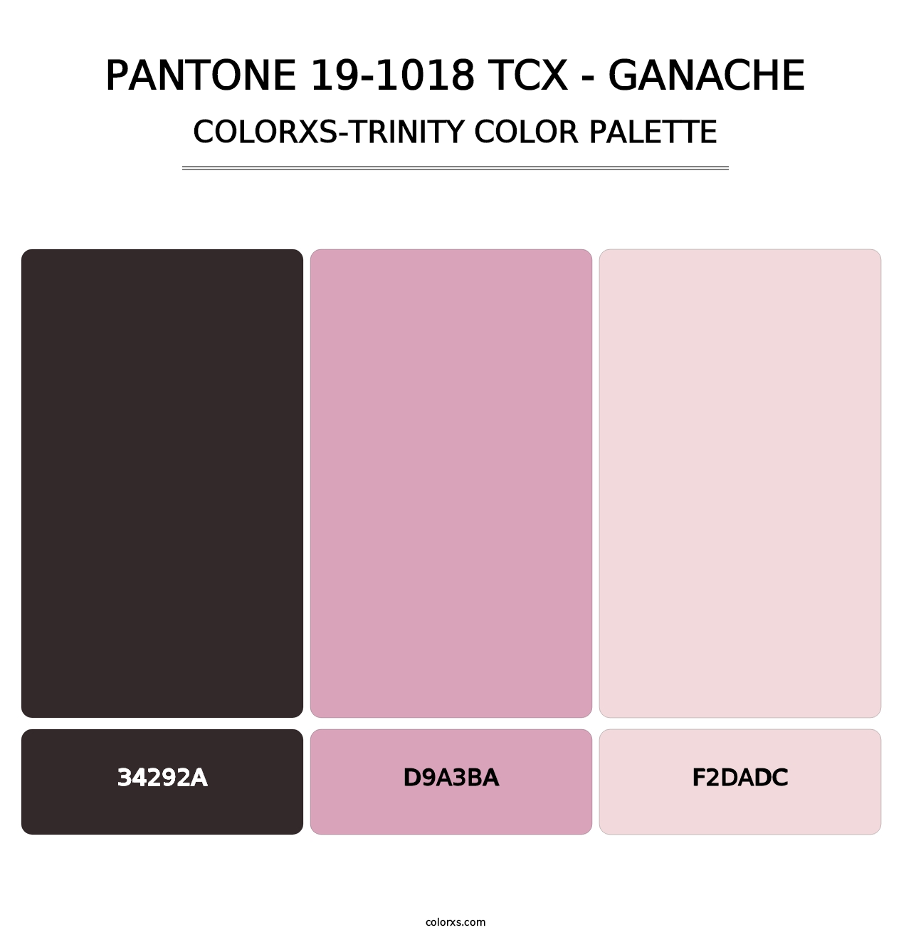 PANTONE 19-1018 TCX - Ganache - Colorxs Trinity Palette