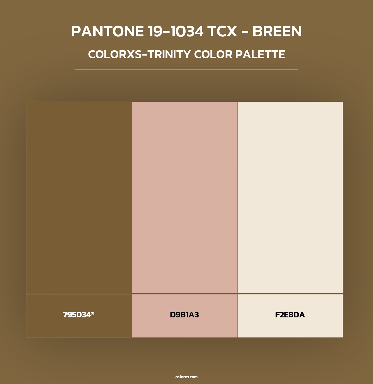 PANTONE 19-1034 TCX - Breen - Colorxs Trinity Palette