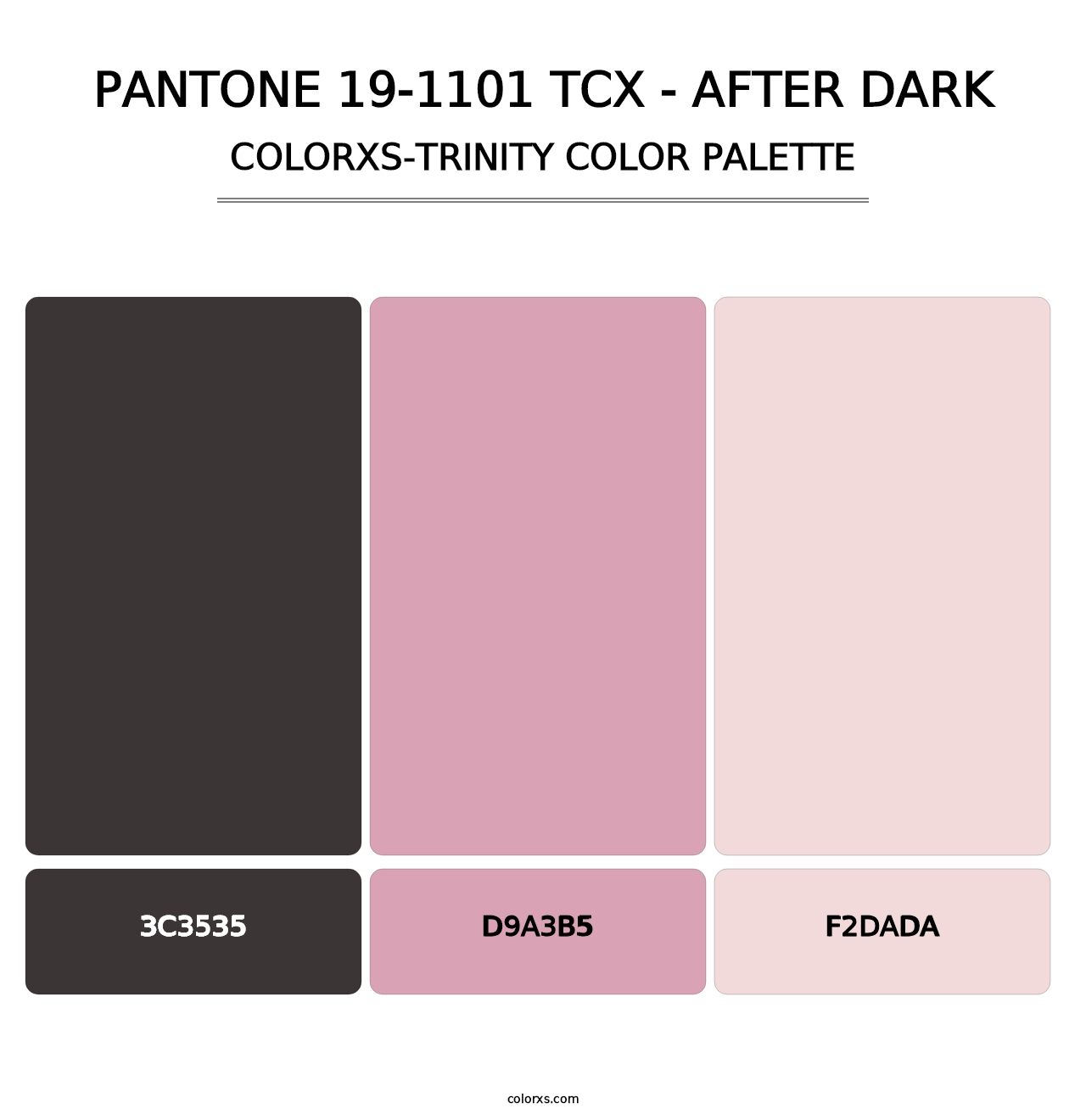 PANTONE 19-1101 TCX - After Dark - Colorxs Trinity Palette