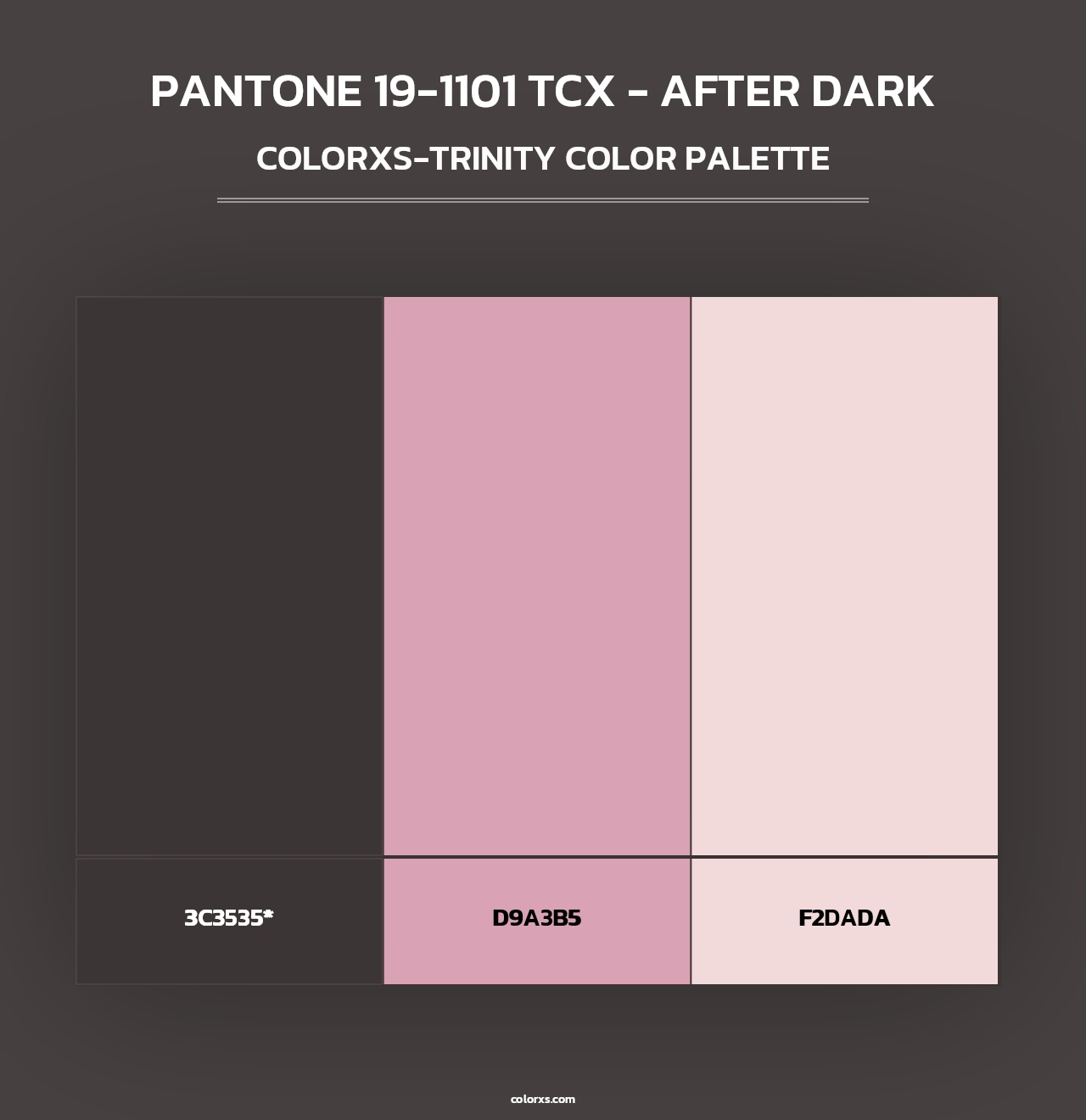 PANTONE 19-1101 TCX - After Dark - Colorxs Trinity Palette