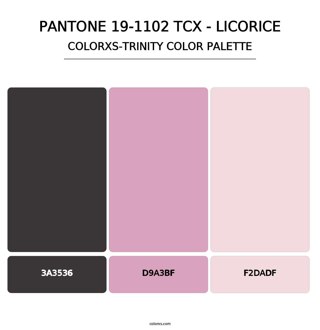 PANTONE 19-1102 TCX - Licorice - Colorxs Trinity Palette