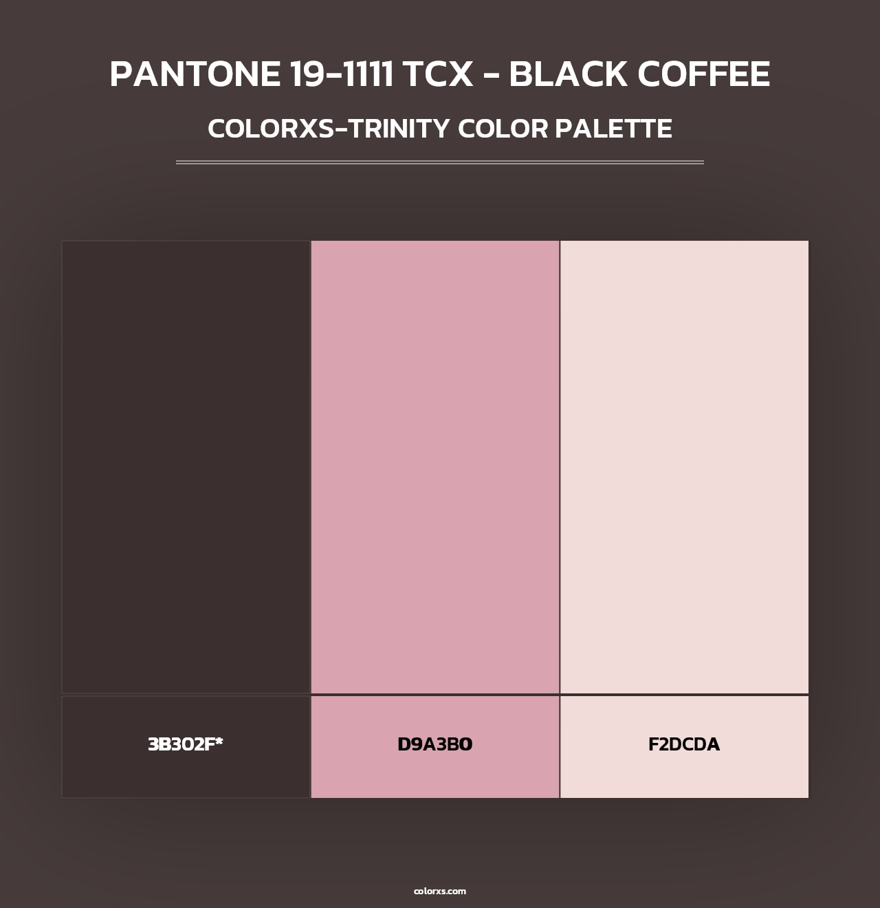 PANTONE 19-1111 TCX - Black Coffee - Colorxs Trinity Palette