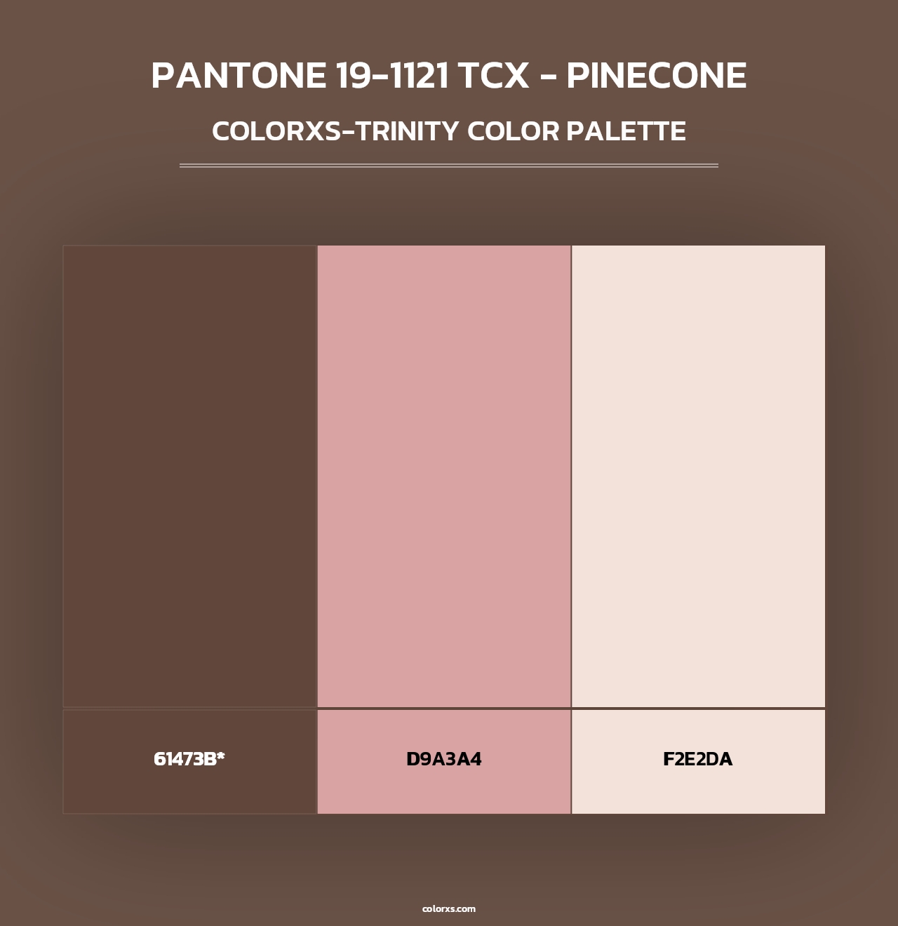 PANTONE 19-1121 TCX - Pinecone - Colorxs Trinity Palette