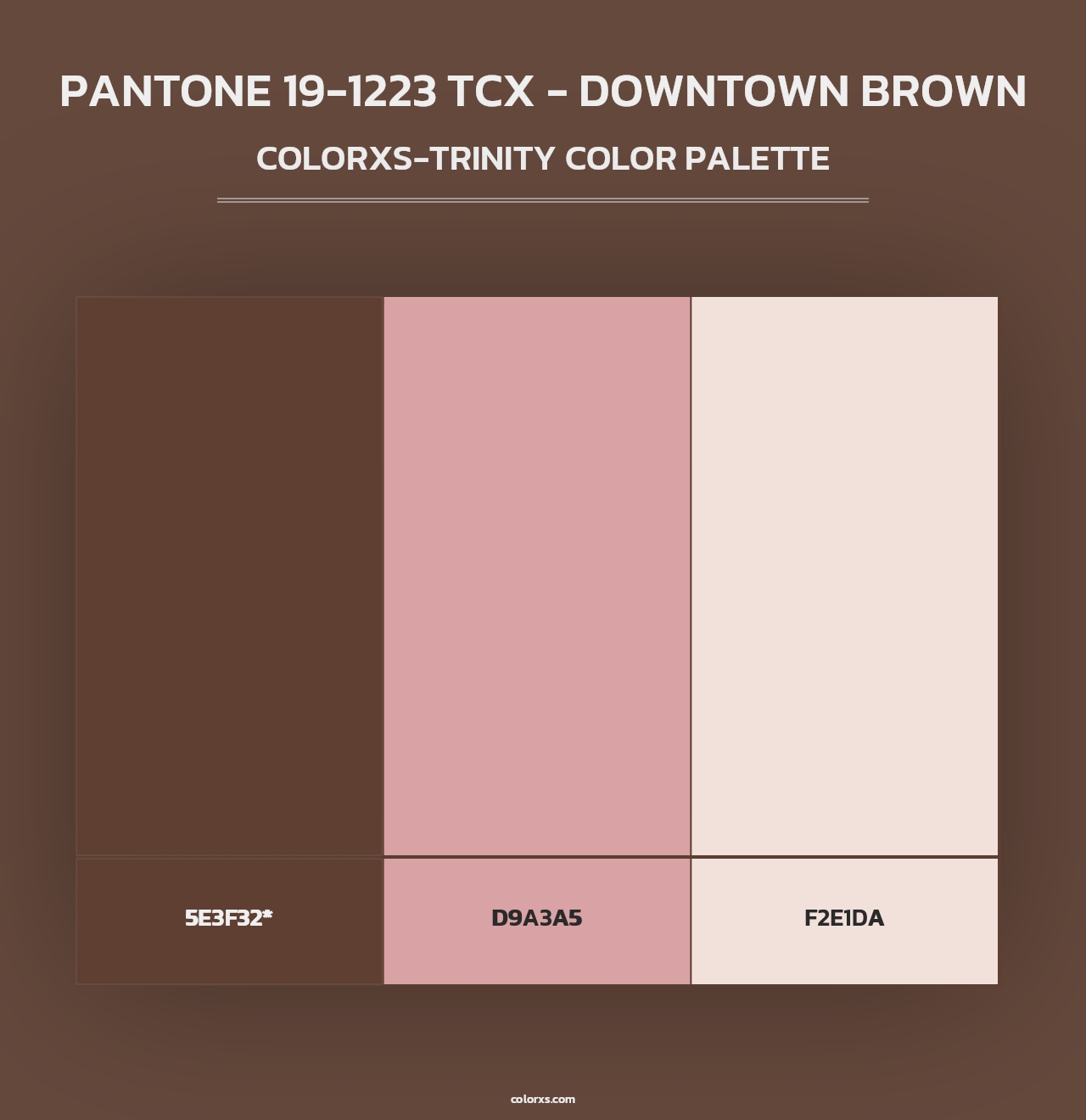 PANTONE 19-1223 TCX - Downtown Brown - Colorxs Trinity Palette