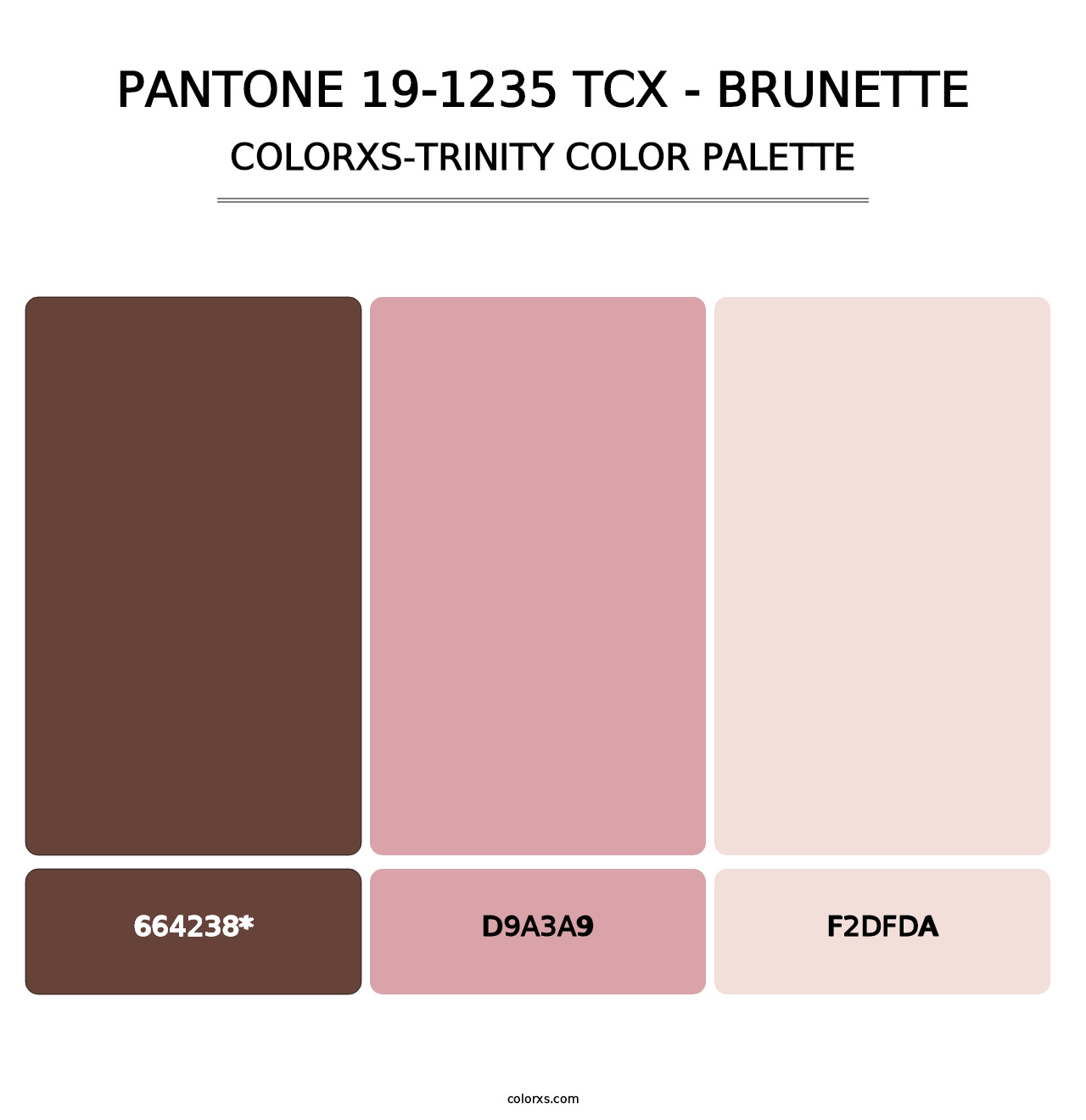 PANTONE 19-1235 TCX - Brunette - Colorxs Trinity Palette