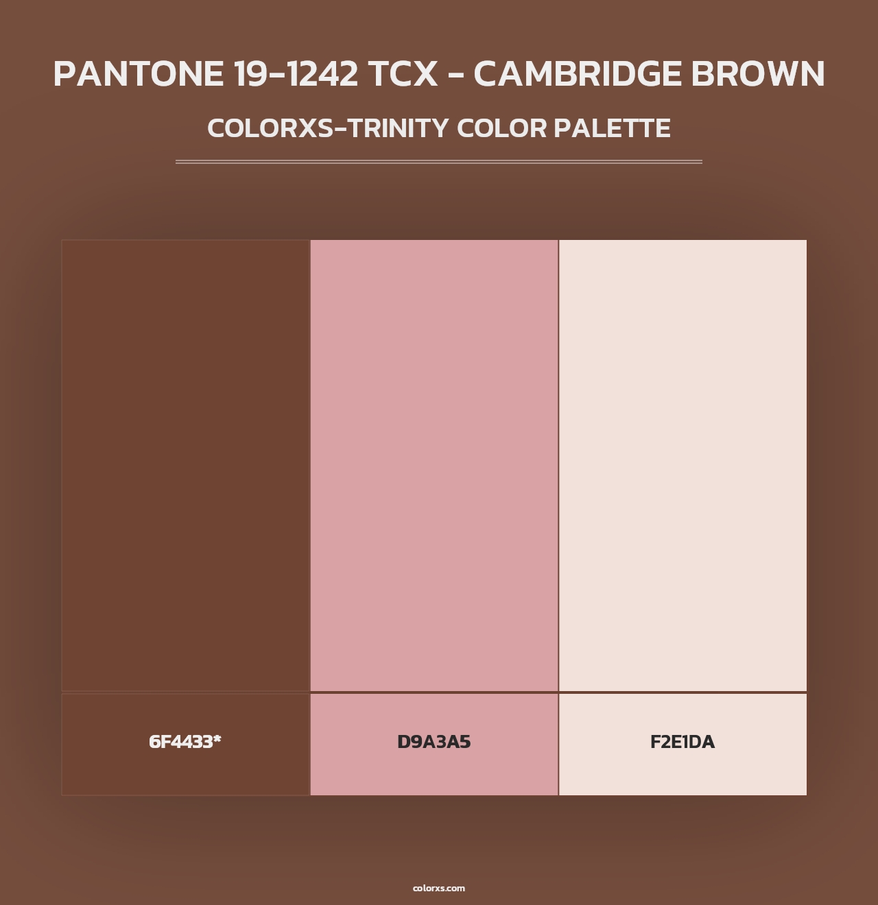 PANTONE 19-1242 TCX - Cambridge Brown - Colorxs Trinity Palette